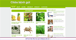 Desktop Screenshot of chuabenhgut.com