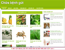Tablet Screenshot of chuabenhgut.com